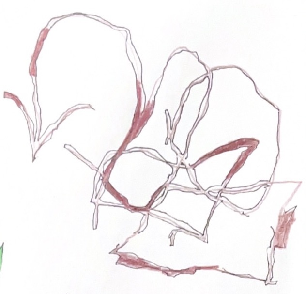 35