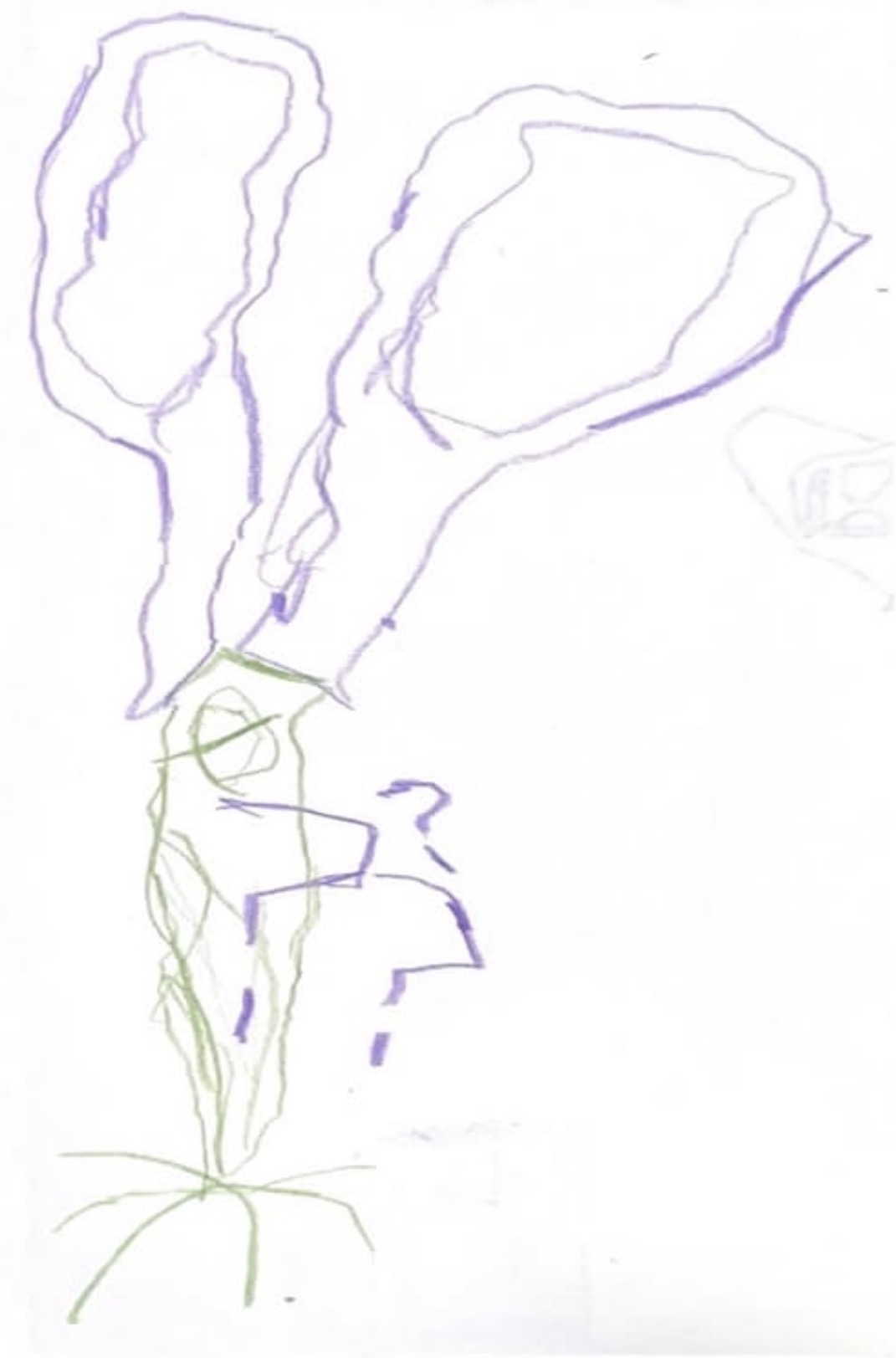 52