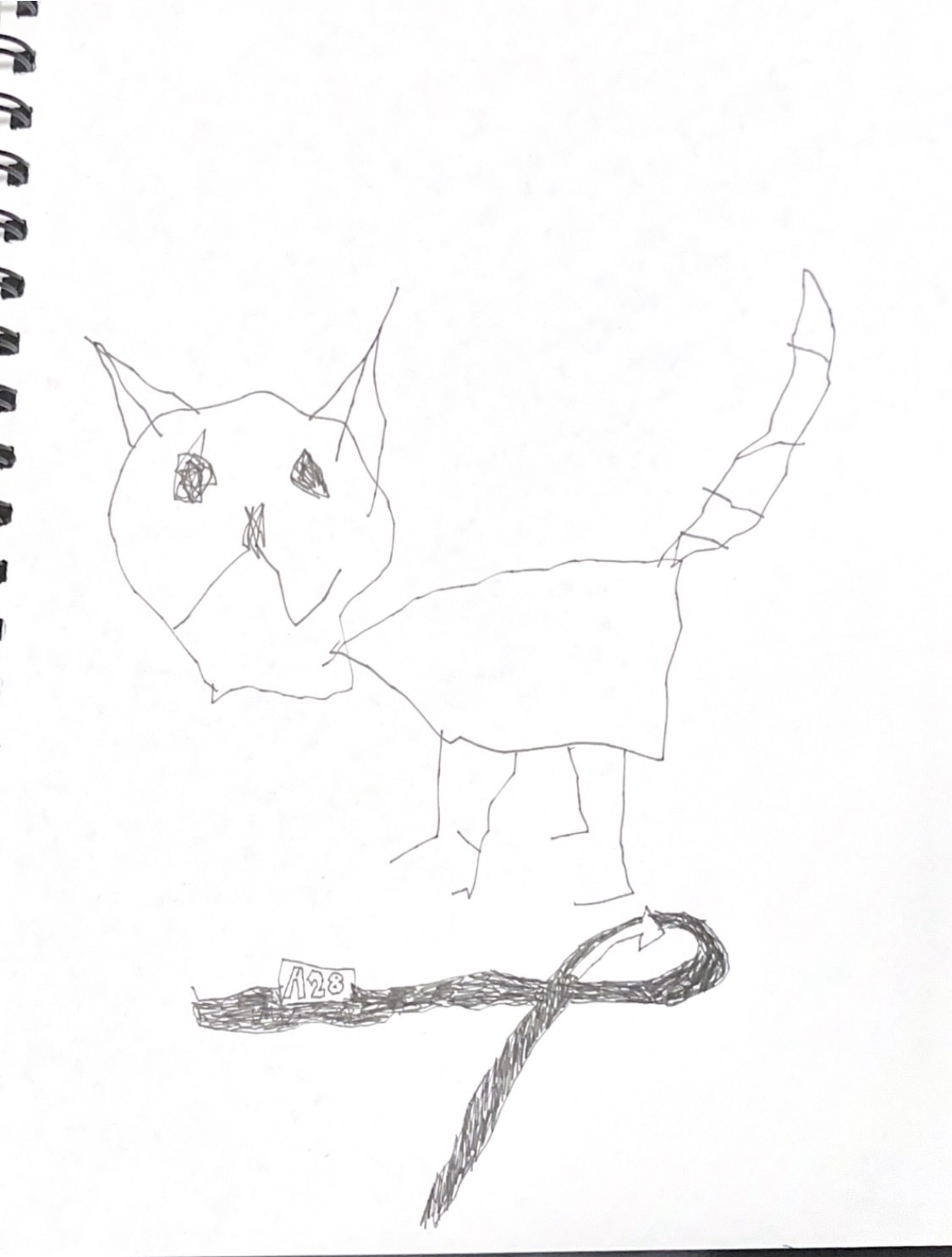 66