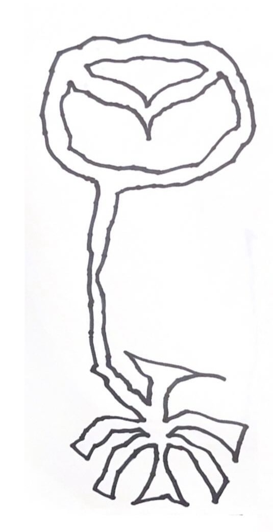 89